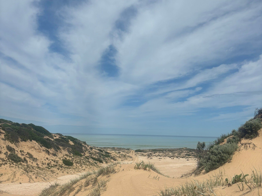 Coorong Wildside Tours-Meningie必去景点