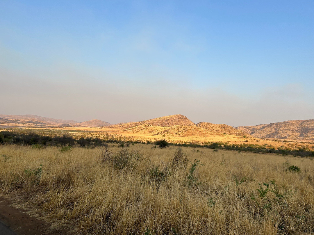 Ingrid's Safaris - Day Tour-约翰内斯堡必去景点