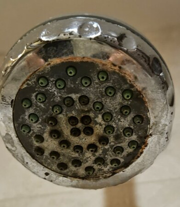 巴达马达凯宾斯基酒店主图