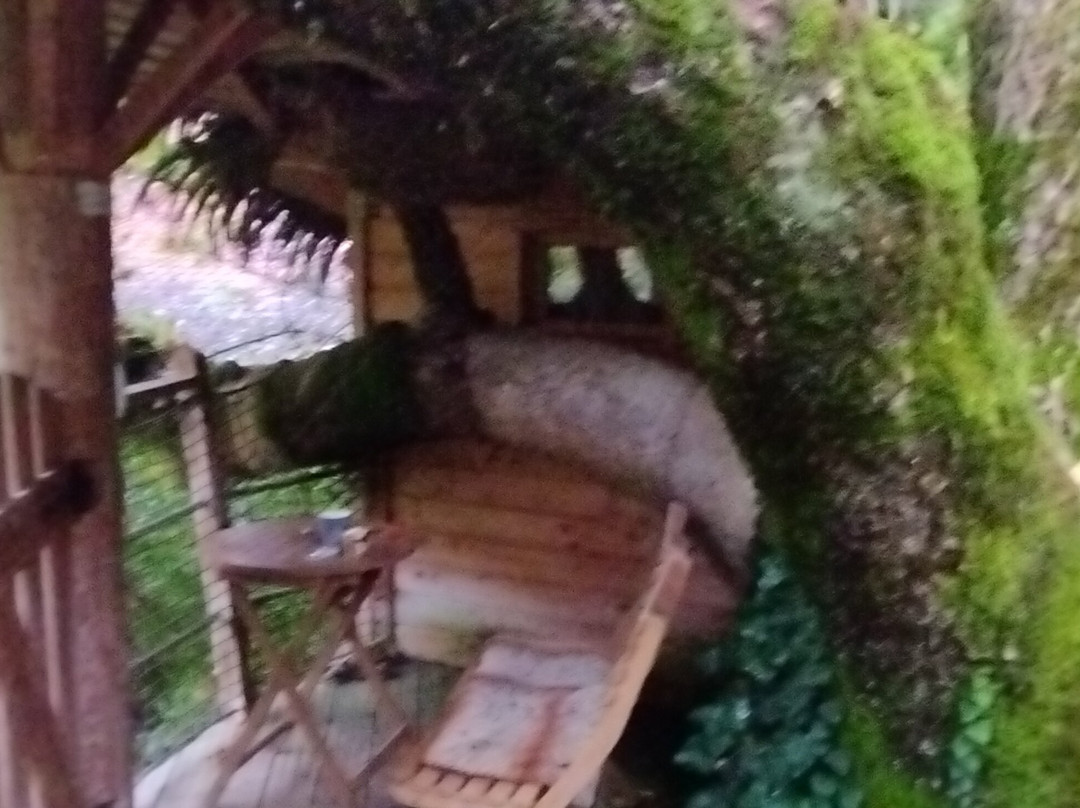 Les Cabanes de Marie主图