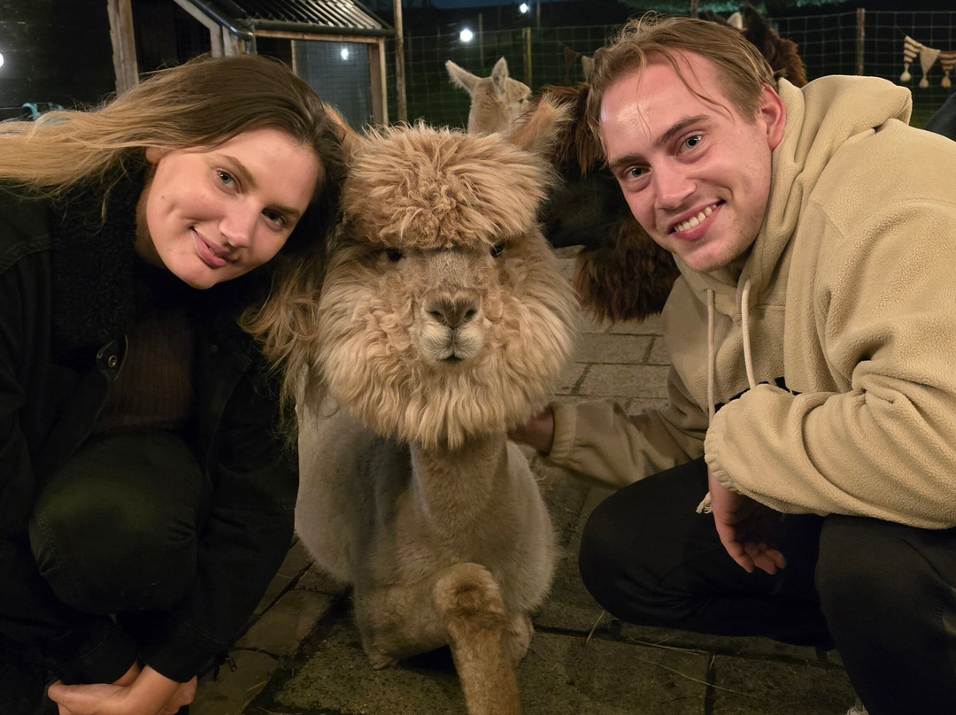 AlpaCasa景点图片