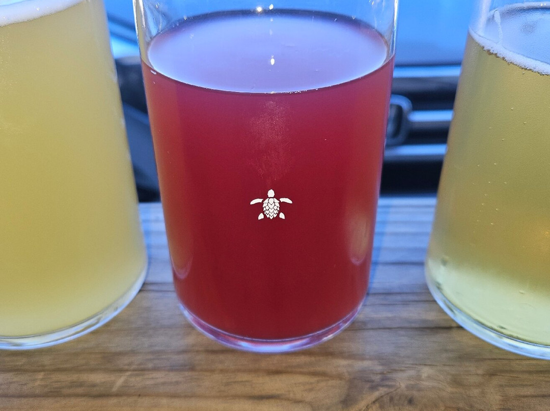 Salty Turtle Beer Co..景点图片