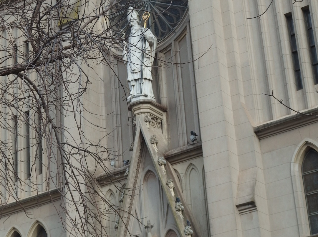 Iglesia San Patricio景点图片