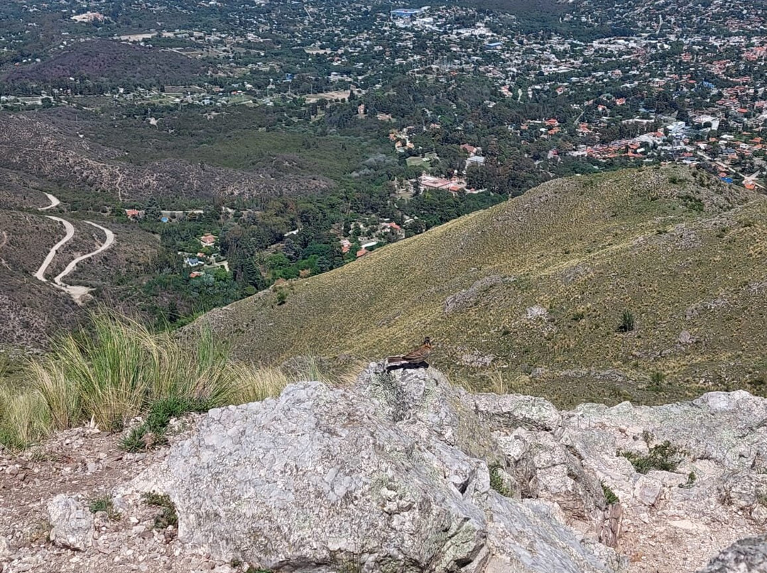 Cerro La Banderita景点图片