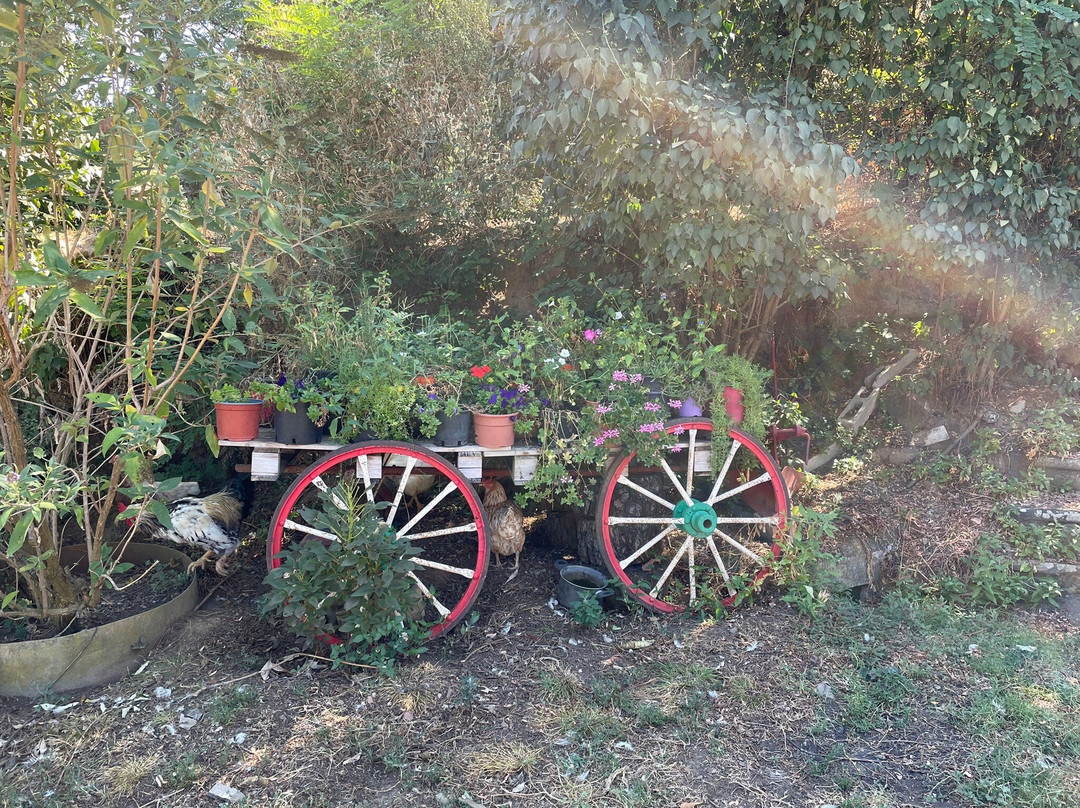 Agriturismo Casa Bistino主图