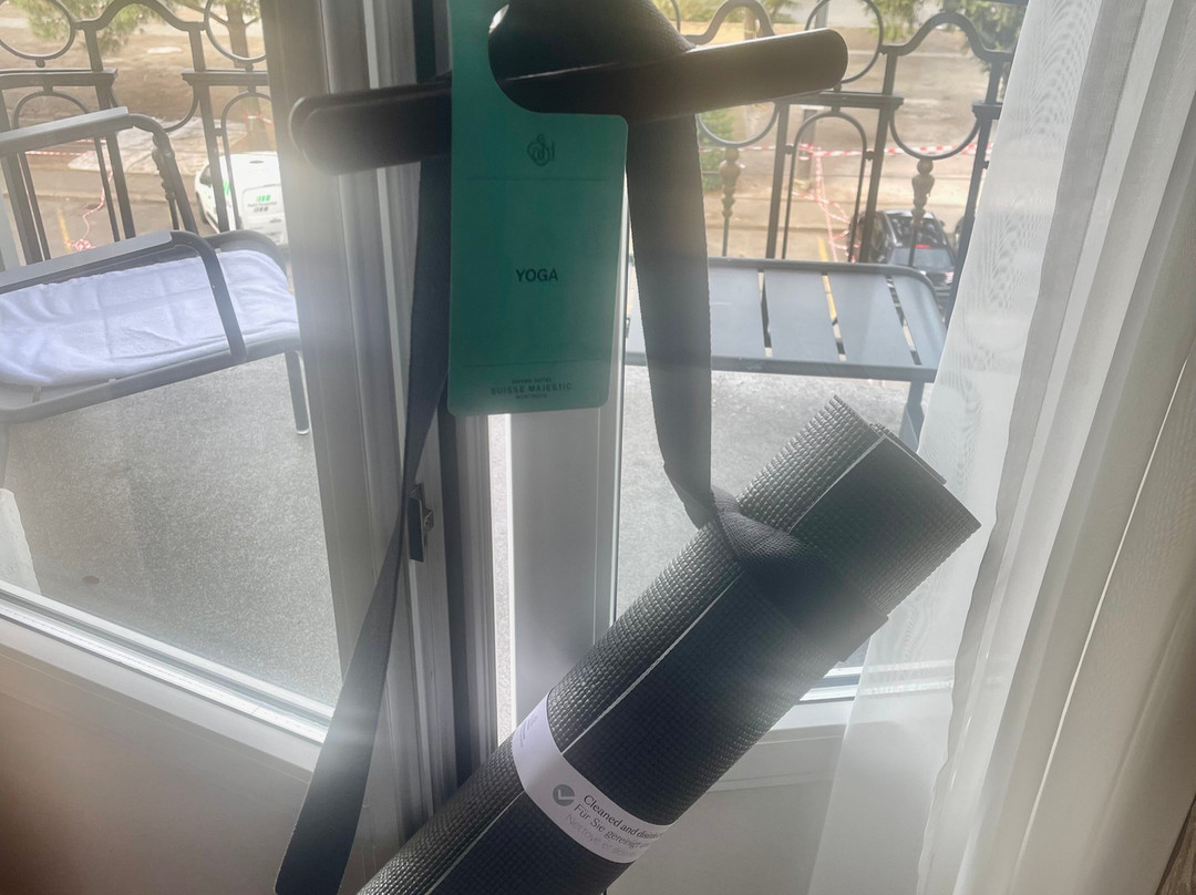 蒙特勒瑞士雄伟大酒店主图