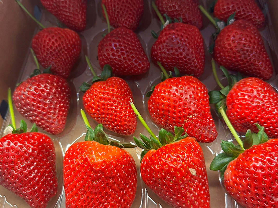 Sunny Ridge Strawberry Farm-Main Ridge必去景点