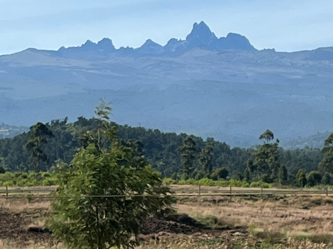 The Safari Company Ltd-Karen必去景点