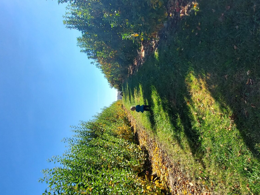 Stepp's Hillcrest Orchard-亨德森维尔必去景点
