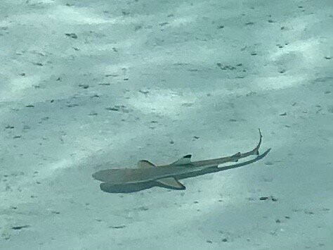 Cape Kri-四王岛必去景点