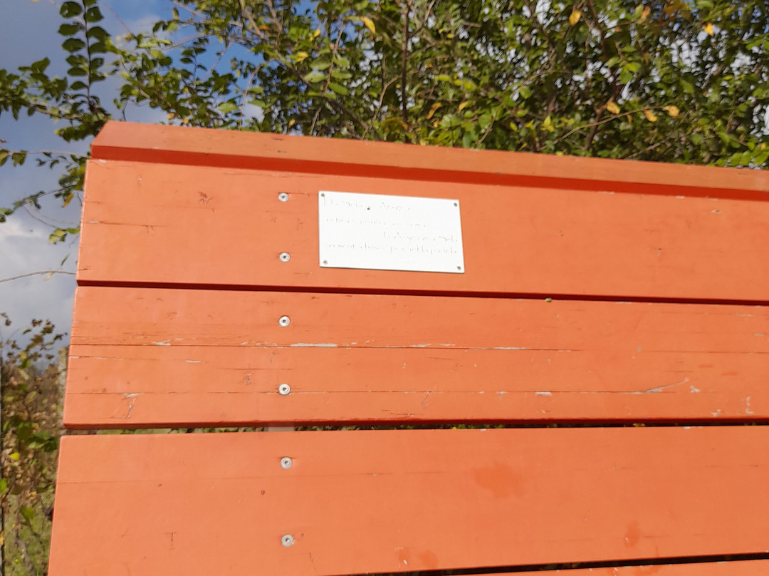 Big Bench nr. 41景点图片