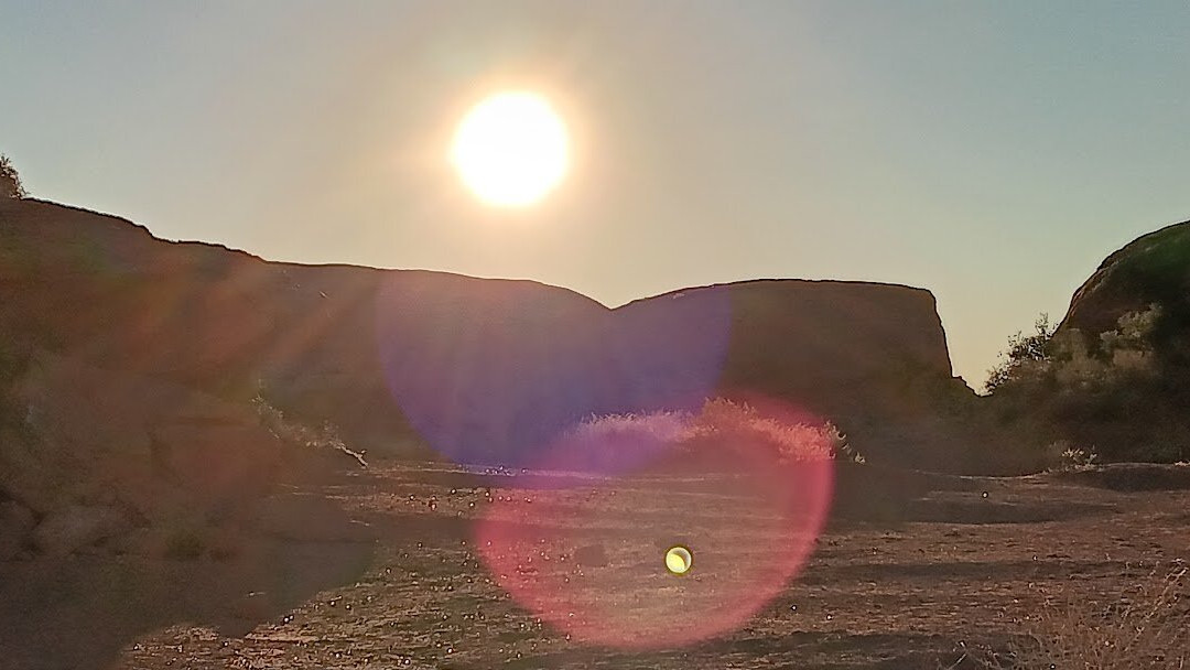Pioneer Park-哈里肯必去景点