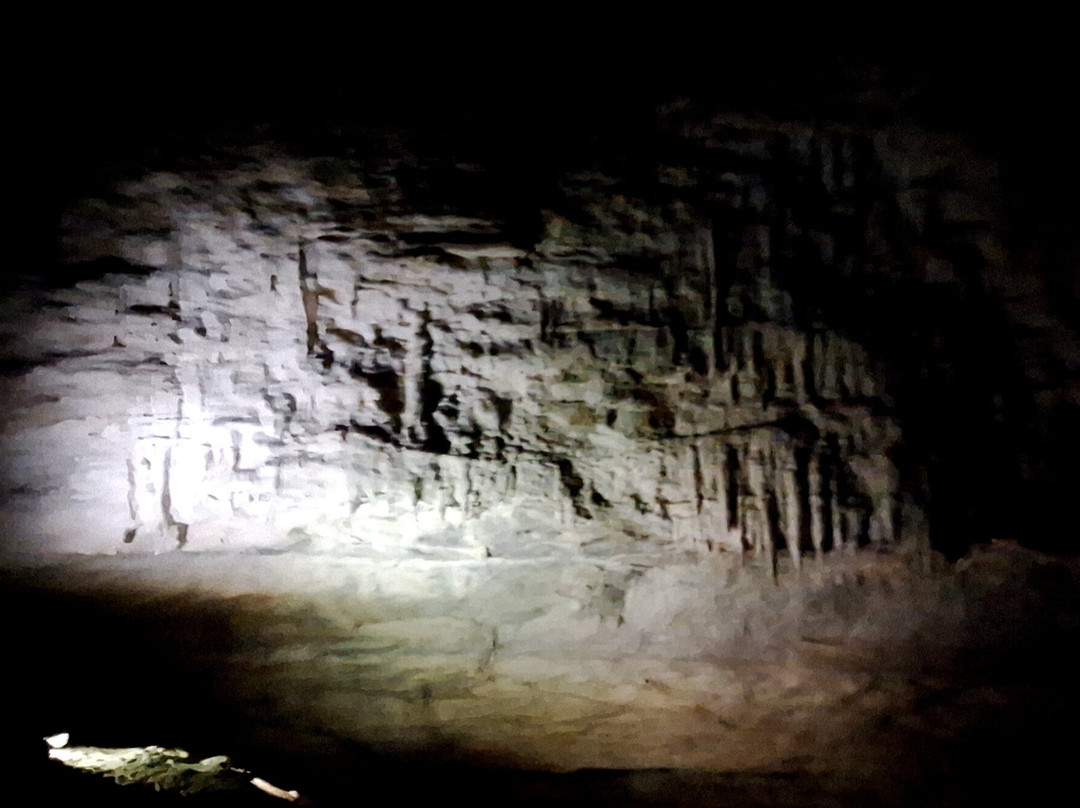 Footwhistle Glowworm Cave-怀托摩洞穴必去景点