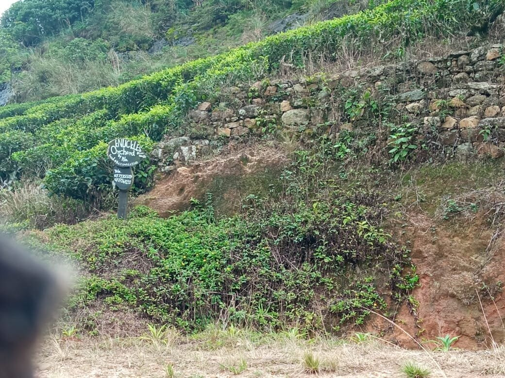 By Foot Adventures Sri Lanka主图