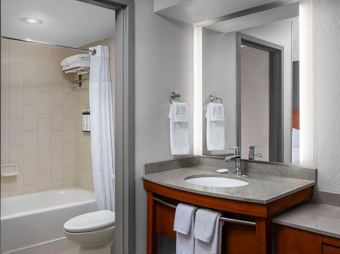 杜勒斯机场北凯悦居所主图