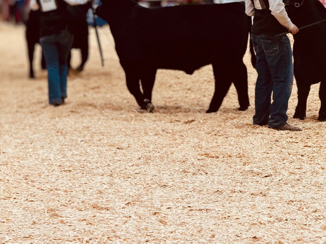 The Royal Agricultural Winter Fair-多伦多必去景点