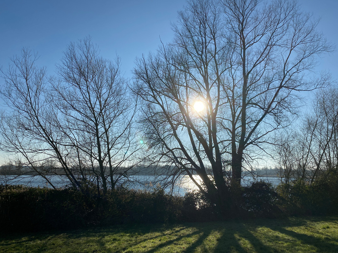 Willen Lake景点图片