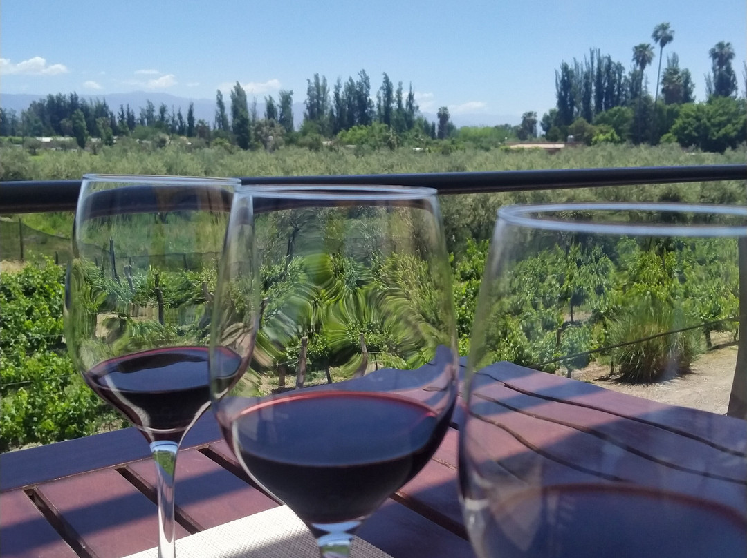 Mevi Bodega Boutique-Maipu必去景点