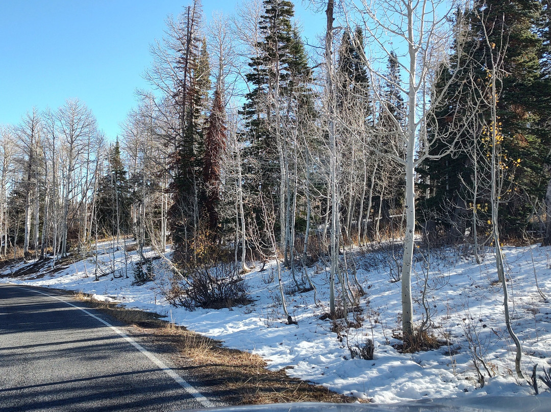 Nebo Loop National Scenic Byway-Payson必去景点