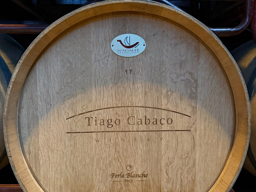 Tiago Cabaço Winery景点图片