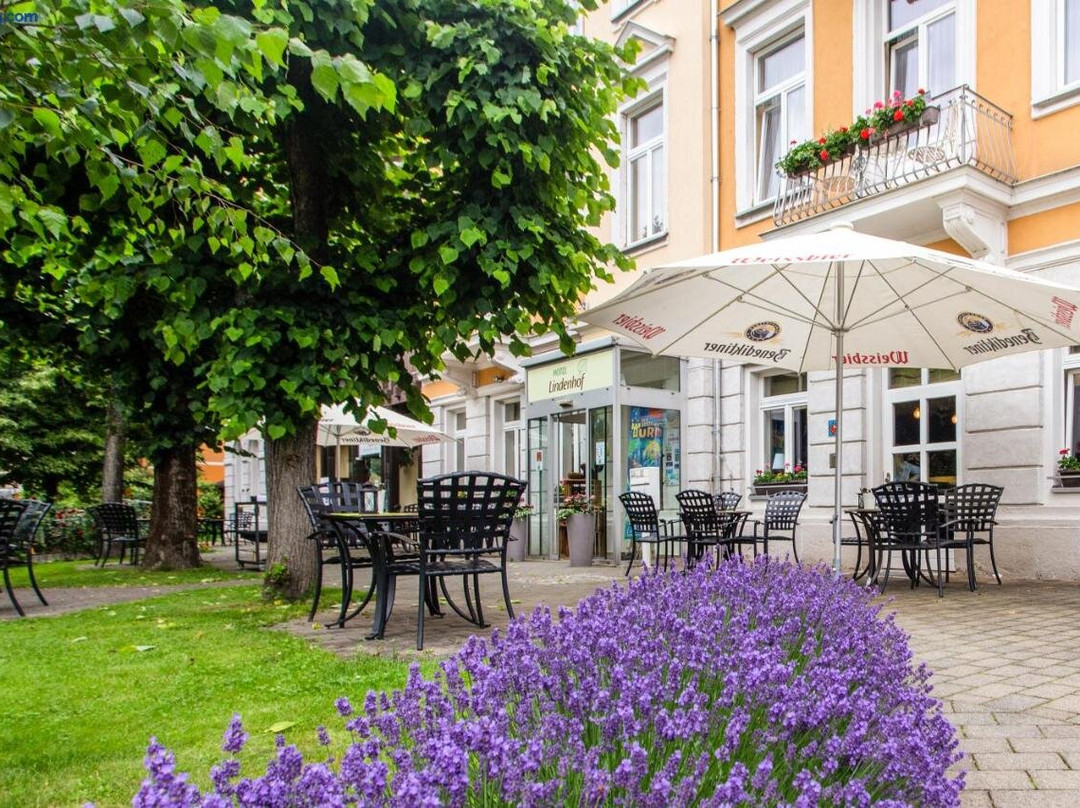 Apartments Lindenhof Bad Schandau