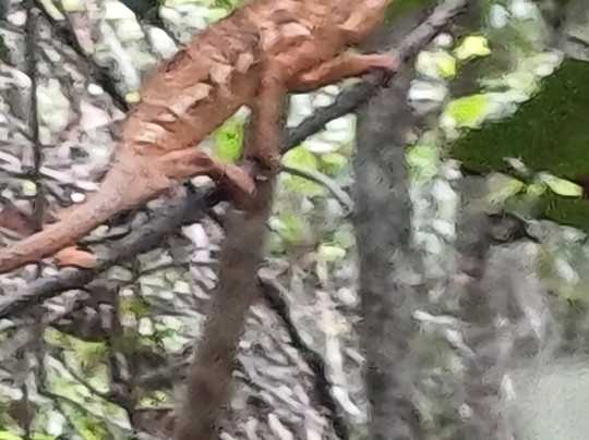 StoryScape Travel-尼斯普鲁特必去景点