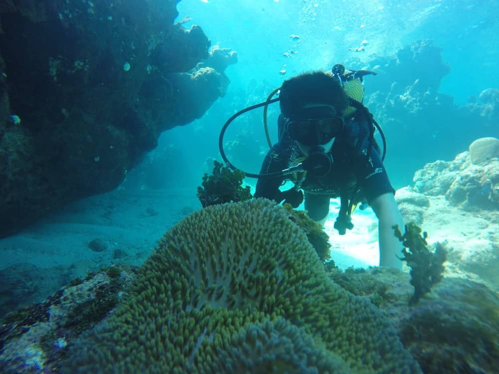 UnderwaterCuba景点图片