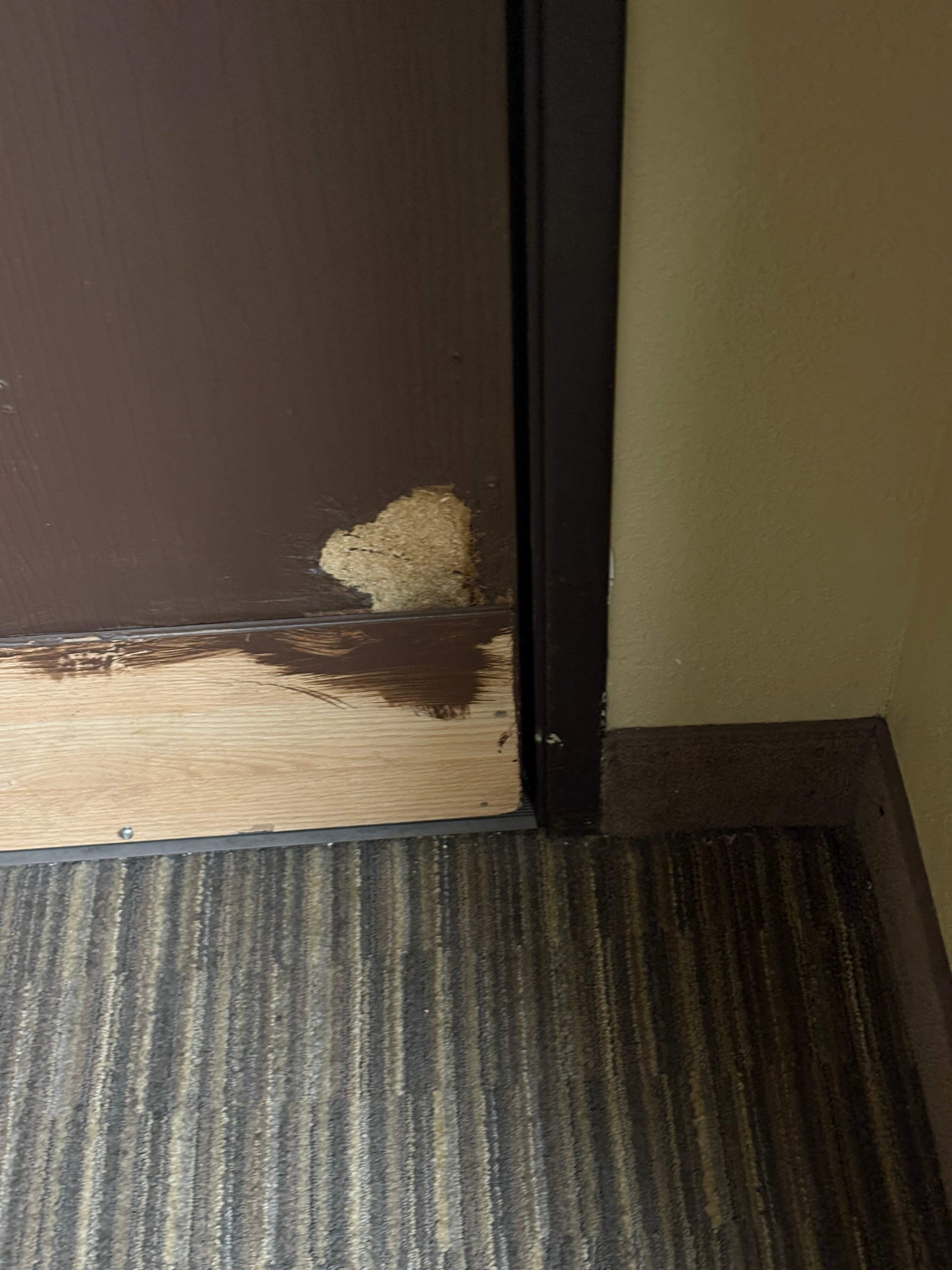 Hawthorn Suites by Wyndham Decatur-客卧