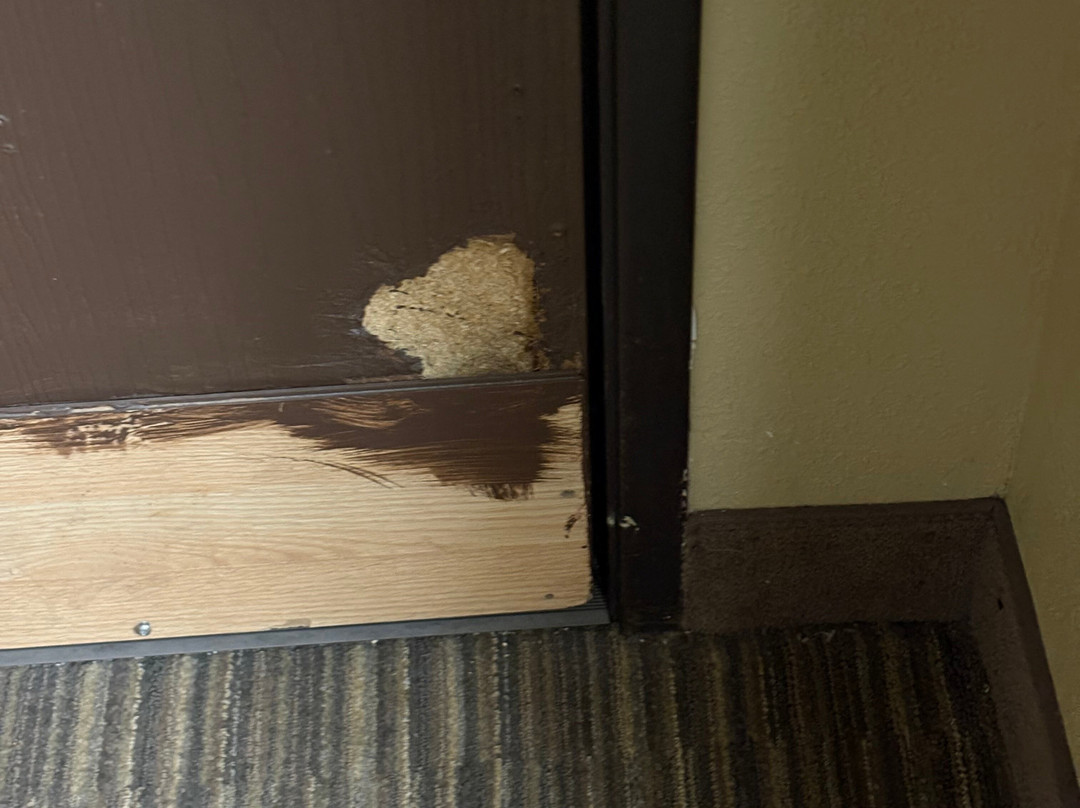 Hawthorn Suites by Wyndham Decatur主图