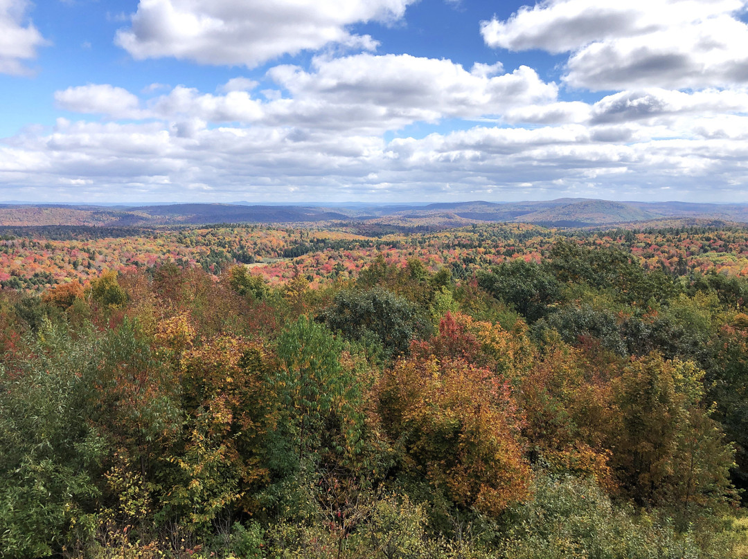 Hogback Mountain Gift Shop-Wilmington必去景点