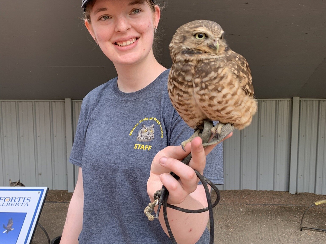 Alberta Birds of Prey Visitor's Centre-Coaldale必去景点