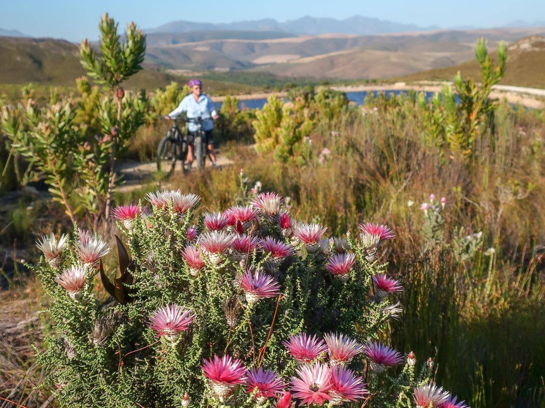 Basterskloof Cottages
