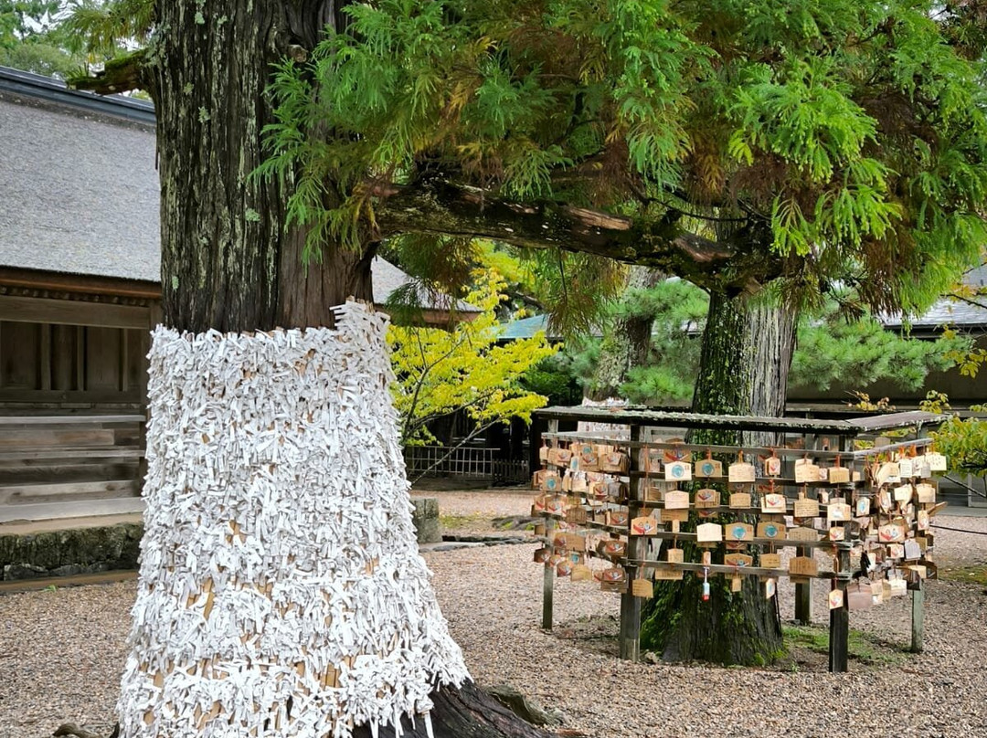 Izumo Taisha Shrine Kaguraden-出云市必去景点