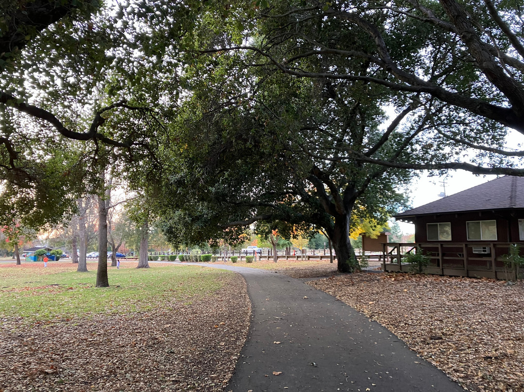 艾德莱文县公园-米尔皮塔斯必去景点