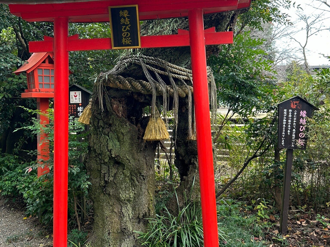 Kammuri Inari Shrine-太田市必去景点