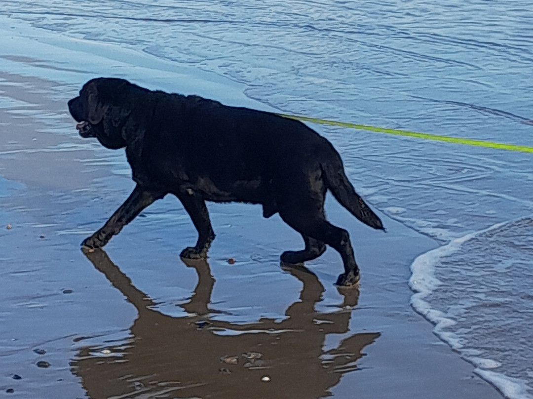 Saundersfoot Beach-桑德斯富特必去景点