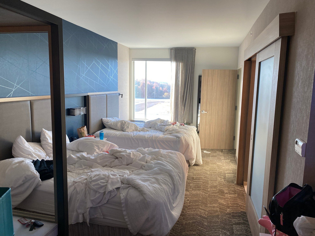 SpringHill Suites by Marriott Birmingham Gardendale主图