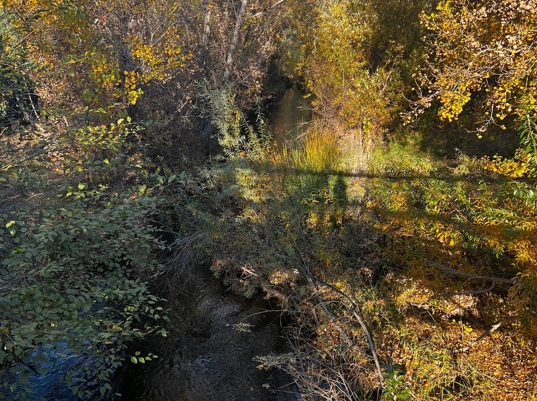 猫溪小径-圣何塞必去景点