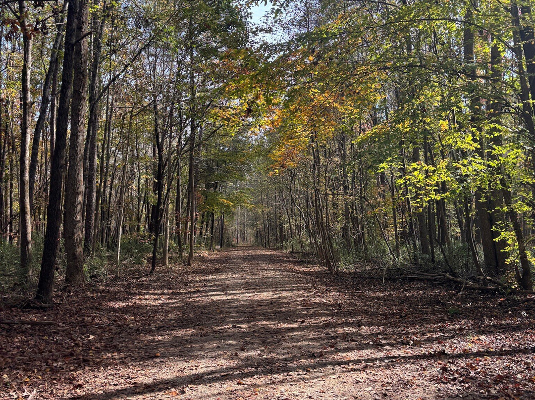 Latta Plantation Nature Center & Preserve景点图片