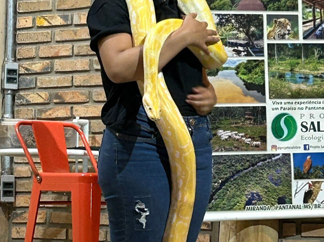 Projeto Jiboia-博尼图必去景点