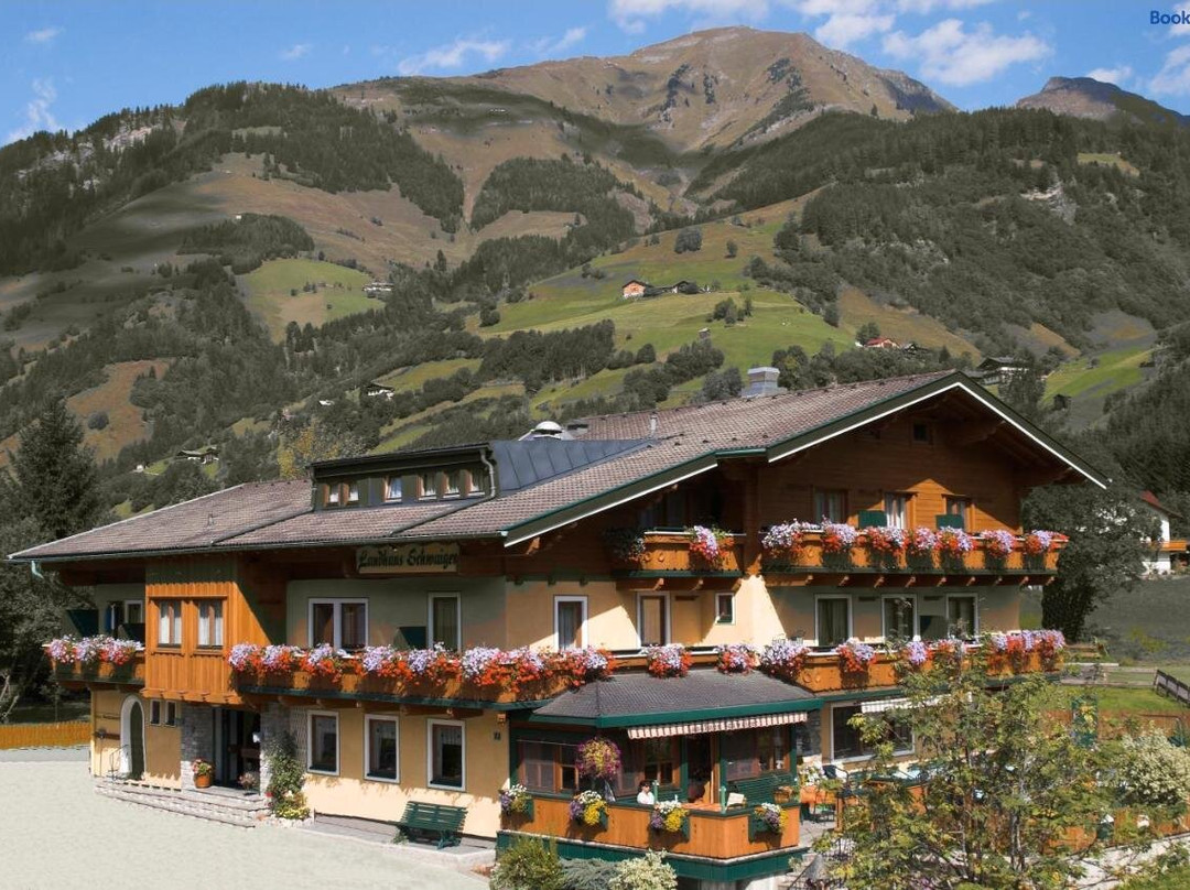 Landhaus Montana主图