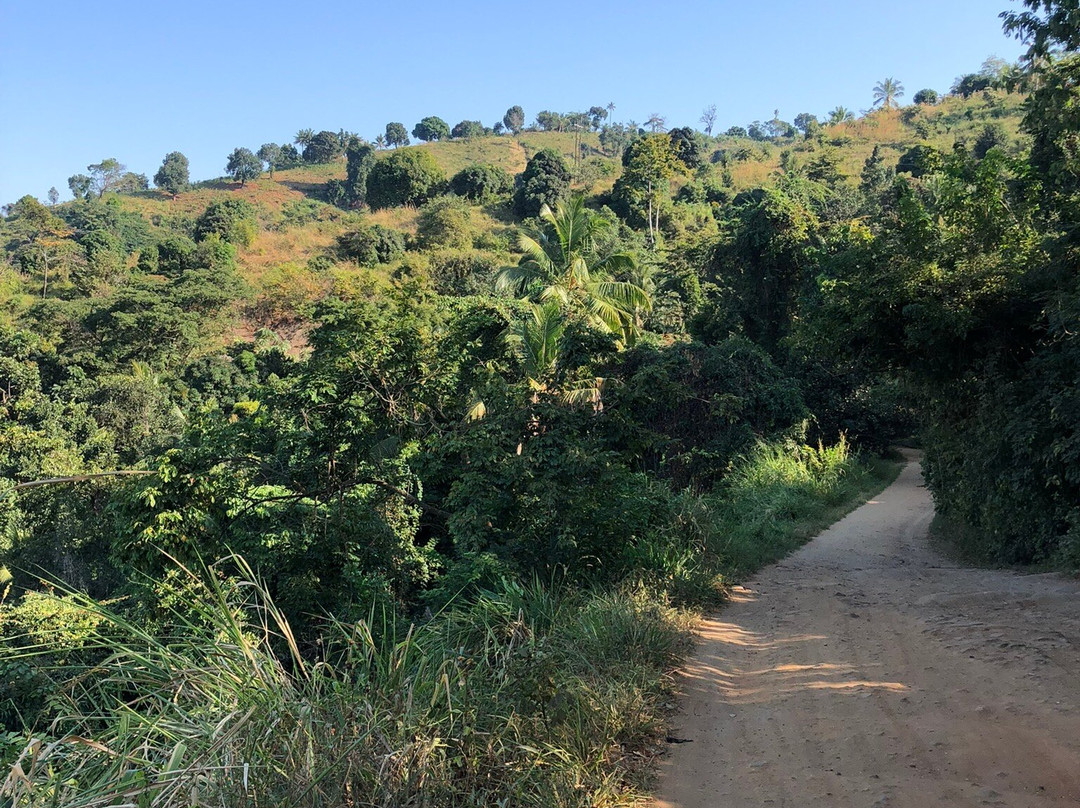 Kinole Waterfall-莫洛哥罗必去景点