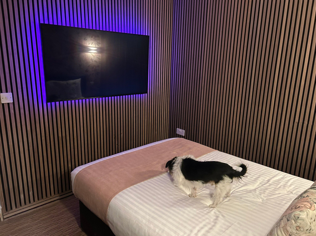 萨拉酒店