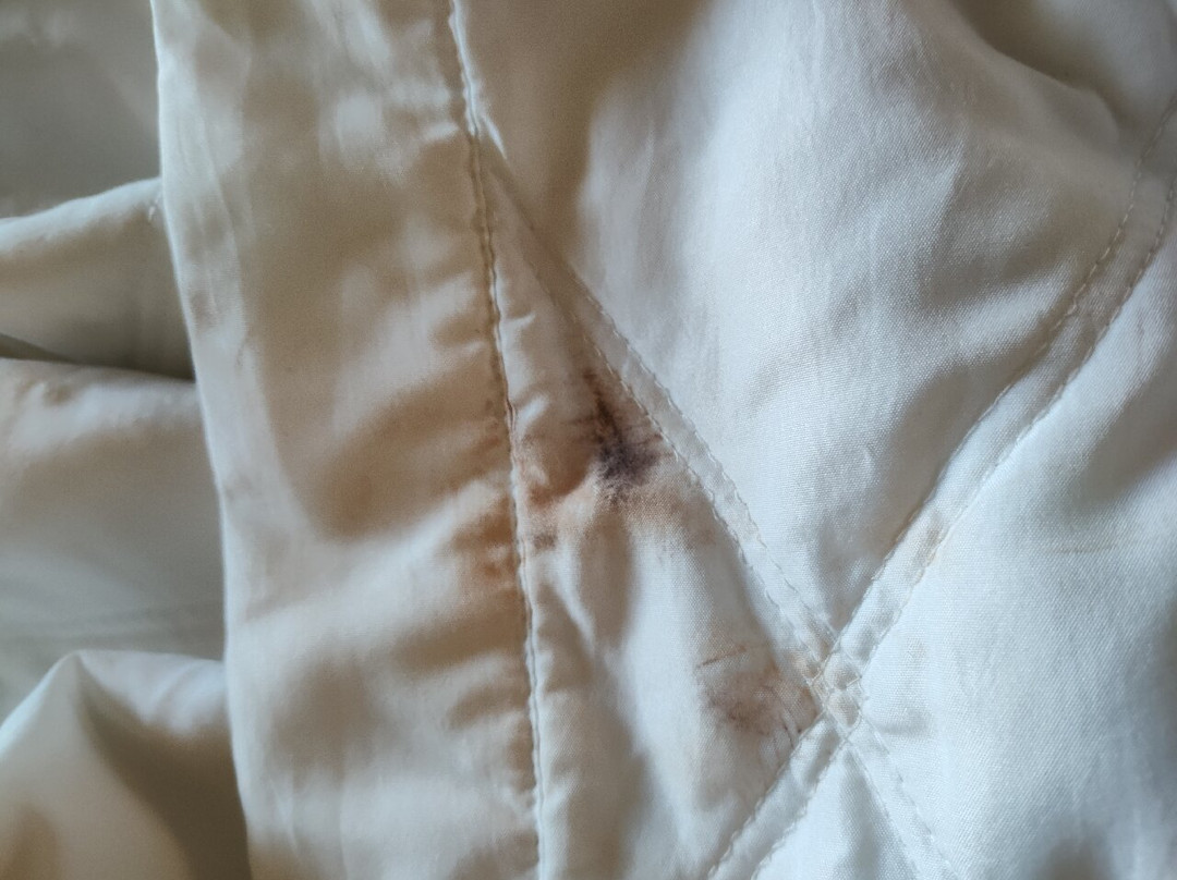 TLC贝斯特韦斯特酒店主图