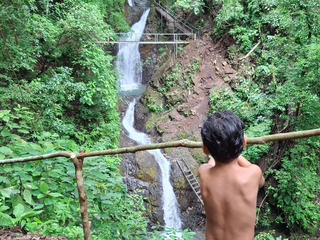 Emanuel waterfalls tours景点图片