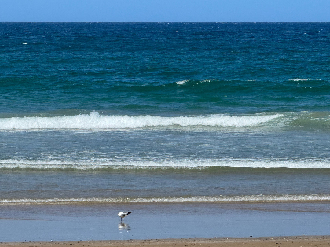 Emerald Beach-Emerald Beach必去景点