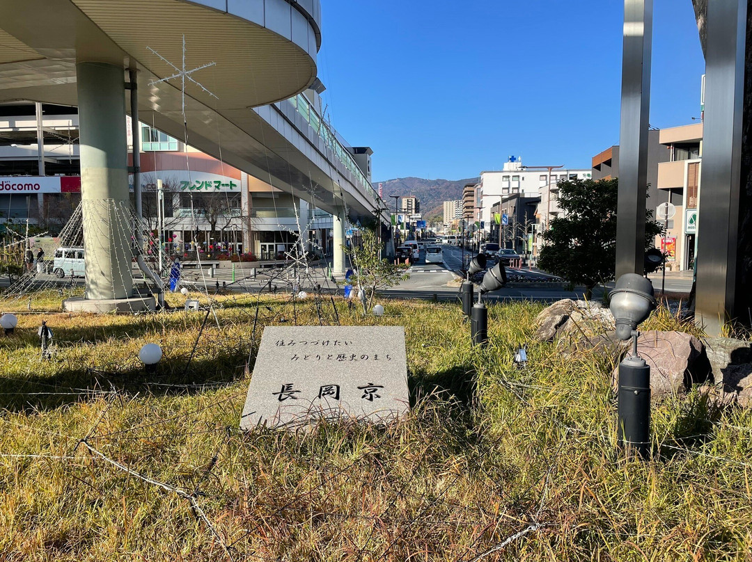 Yokokuji Temple-长冈京市必去景点
