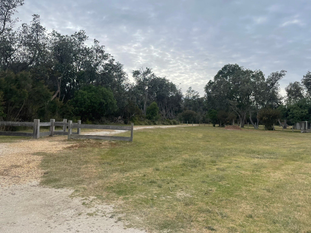 Veronica Maybury Recreation Reserve景点图片