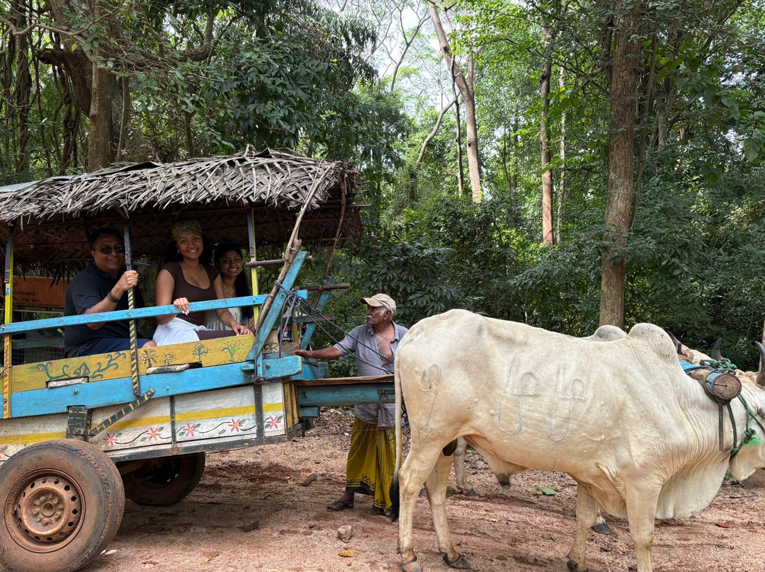 Ananda Special Jeep Safari & Village Tour-哈巴拉娜必去景点