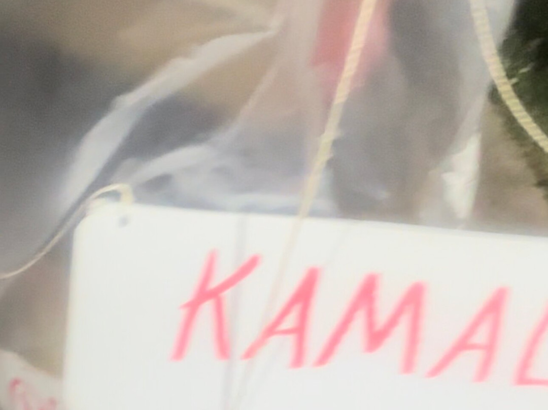 The Trump Store-Boones Mill必去景点